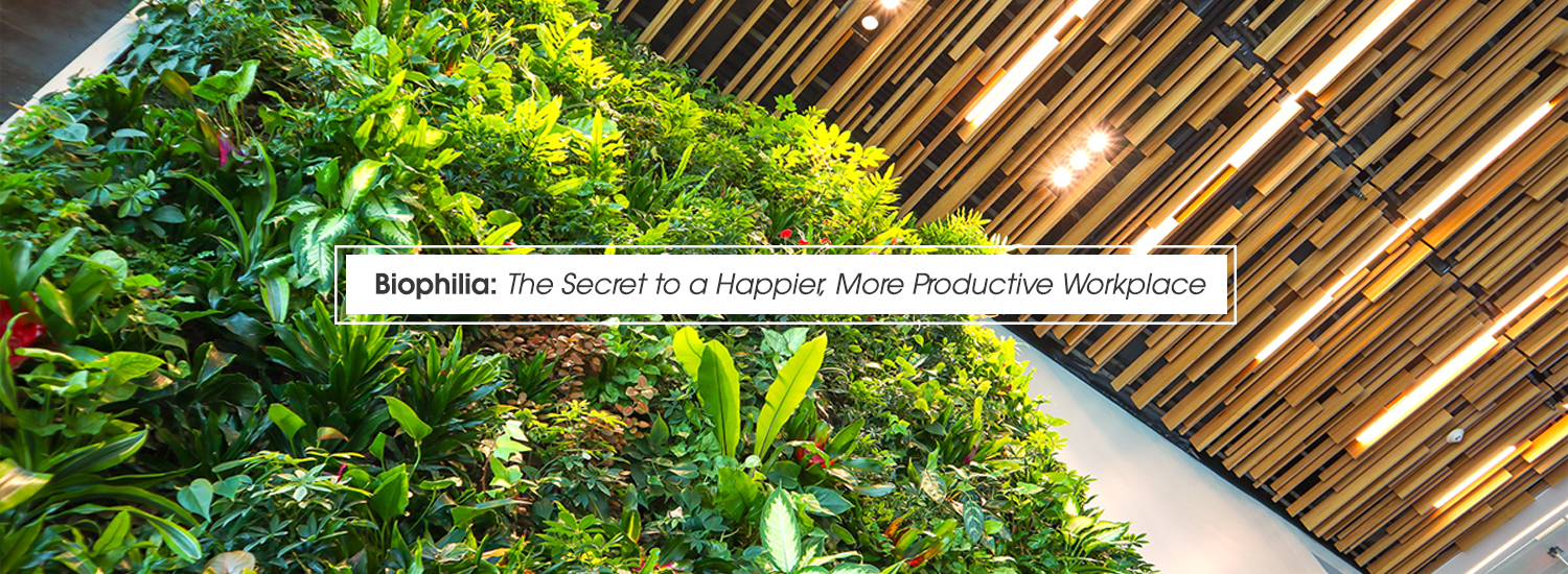 Biophilia: The Secret to a Happier, More Productive Workplace rotating