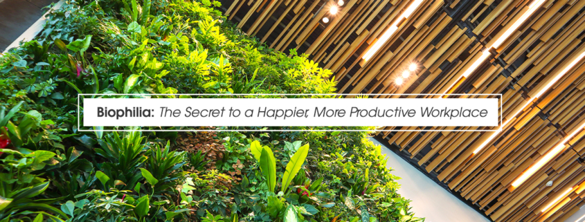 Biophilia: The Secret to a Happier, More Productive Workplace